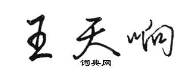 駱恆光王天響行書個性簽名怎么寫