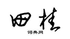 朱錫榮田桂草書個性簽名怎么寫