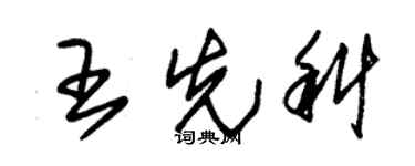 朱錫榮王先科草書個性簽名怎么寫