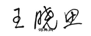 駱恆光王曉思草書個性簽名怎么寫