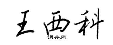 王正良王西科行書個性簽名怎么寫