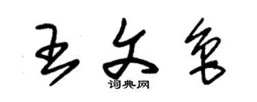 朱錫榮王文魯草書個性簽名怎么寫