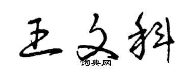 曾慶福王文科草書個性簽名怎么寫