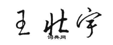 駱恆光王壯宇草書個性簽名怎么寫
