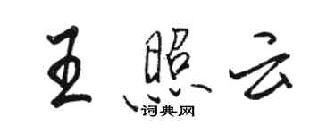 駱恆光王照雲行書個性簽名怎么寫