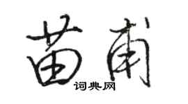 駱恆光苗甫行書個性簽名怎么寫