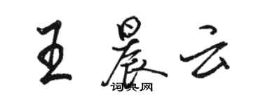 駱恆光王晨雲行書個性簽名怎么寫