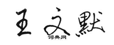 駱恆光王文默行書個性簽名怎么寫