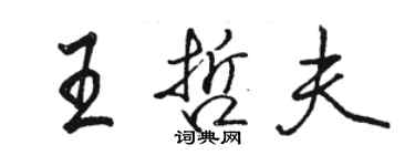 駱恆光王哲夫行書個性簽名怎么寫