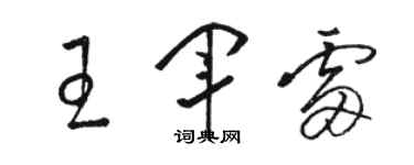 駱恆光王軍雷草書個性簽名怎么寫