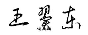 曾慶福王翼東草書個性簽名怎么寫