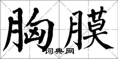 翁闓運胸膜楷書怎么寫