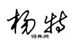 朱錫榮楊特草書個性簽名怎么寫