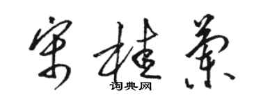 駱恆光宋桂蘭草書個性簽名怎么寫