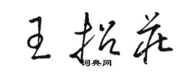 駱恆光王招莊草書個性簽名怎么寫