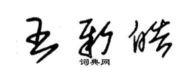 朱錫榮王新皓草書個性簽名怎么寫