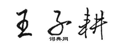 駱恆光王子耕行書個性簽名怎么寫