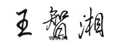 駱恆光王智湘行書個性簽名怎么寫