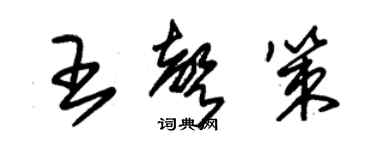 朱錫榮王聲策草書個性簽名怎么寫