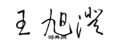 駱恆光王旭澄草書個性簽名怎么寫