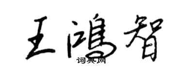 王正良王鴻智行書個性簽名怎么寫