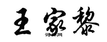 胡問遂王家黎行書個性簽名怎么寫