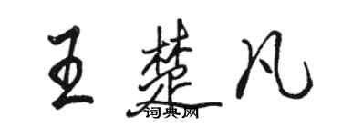 駱恆光王楚凡行書個性簽名怎么寫