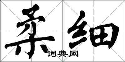 翁闓運柔細楷書怎么寫