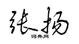 曾慶福張揚行書個性簽名怎么寫