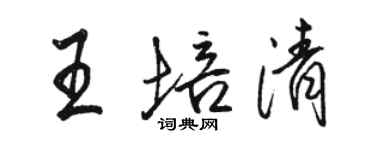 駱恆光王培清行書個性簽名怎么寫