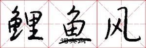 鯉魚風怎么寫好看