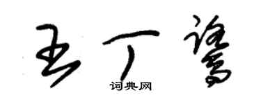 朱錫榮王丁鷺草書個性簽名怎么寫