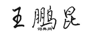 駱恆光王鵬昆行書個性簽名怎么寫