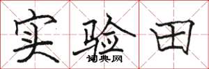 駱恆光實驗田楷書怎么寫