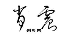 曾慶福肖震草書個性簽名怎么寫