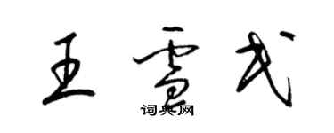 梁錦英王雪民草書個性簽名怎么寫