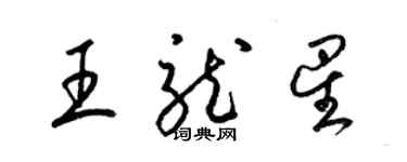 梁錦英王龍星草書個性簽名怎么寫