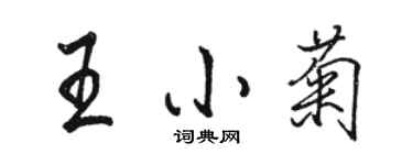 駱恆光王小菊行書個性簽名怎么寫