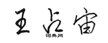 駱恆光王占宙行書個性簽名怎么寫