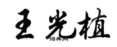 胡問遂王光植行書個性簽名怎么寫