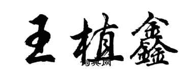 胡問遂王植鑫行書個性簽名怎么寫