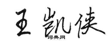 駱恆光王凱俠行書個性簽名怎么寫