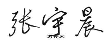 駱恆光張宇晨行書個性簽名怎么寫