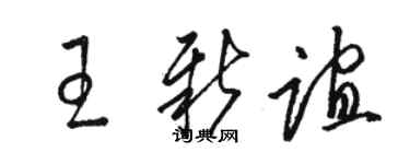 駱恆光王新誼草書個性簽名怎么寫