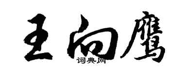 胡問遂王向鷹行書個性簽名怎么寫