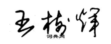 朱錫榮王樹輝草書個性簽名怎么寫