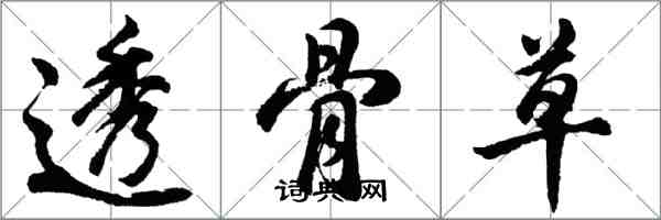 胡問遂透骨草行書怎么寫