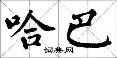 翁闓運哈巴楷書怎么寫