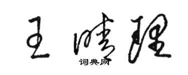 駱恆光王晴理草書個性簽名怎么寫