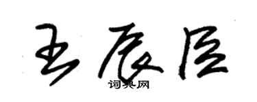朱錫榮王辰臣草書個性簽名怎么寫